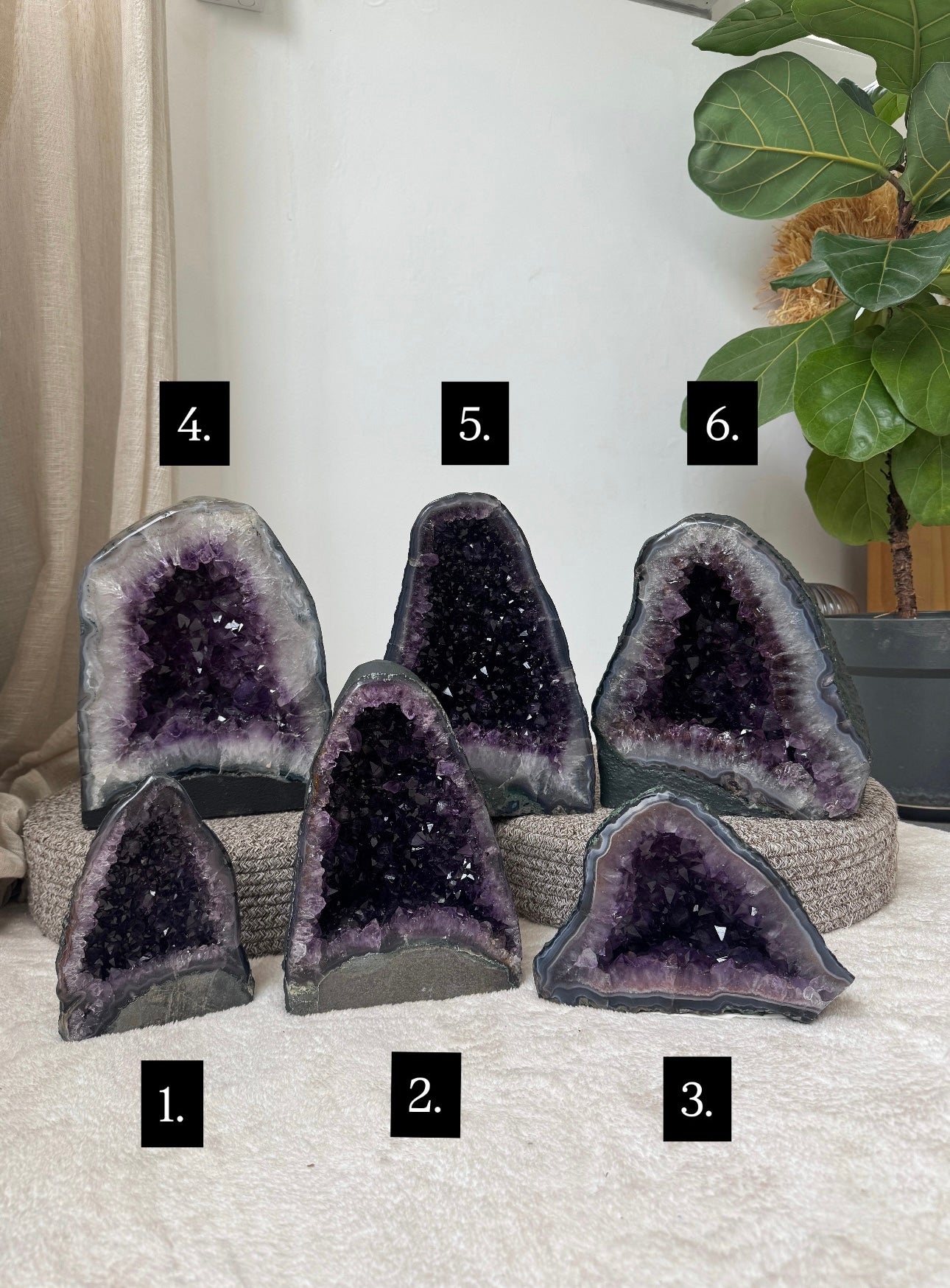 鈦晶紫晶洞#2 Amethyst Geode with rutilated quartz#2